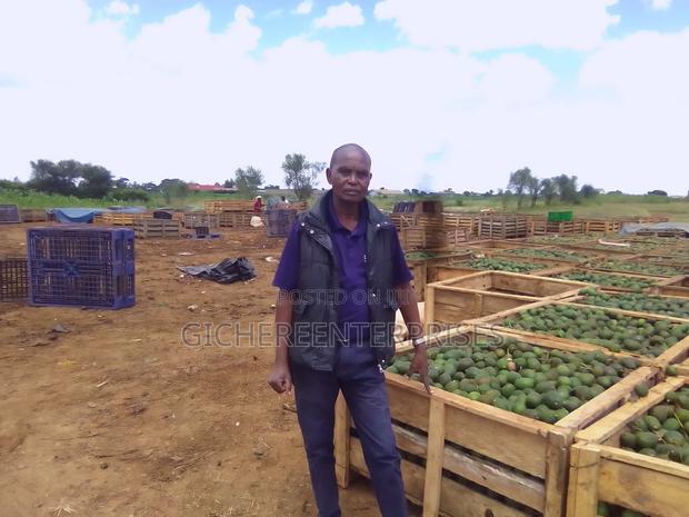 Thika Industrial Plot - thumbnail 9