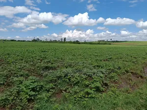 2 Acres of Agricultural Land