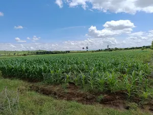 2 Acres of Agricultural Land