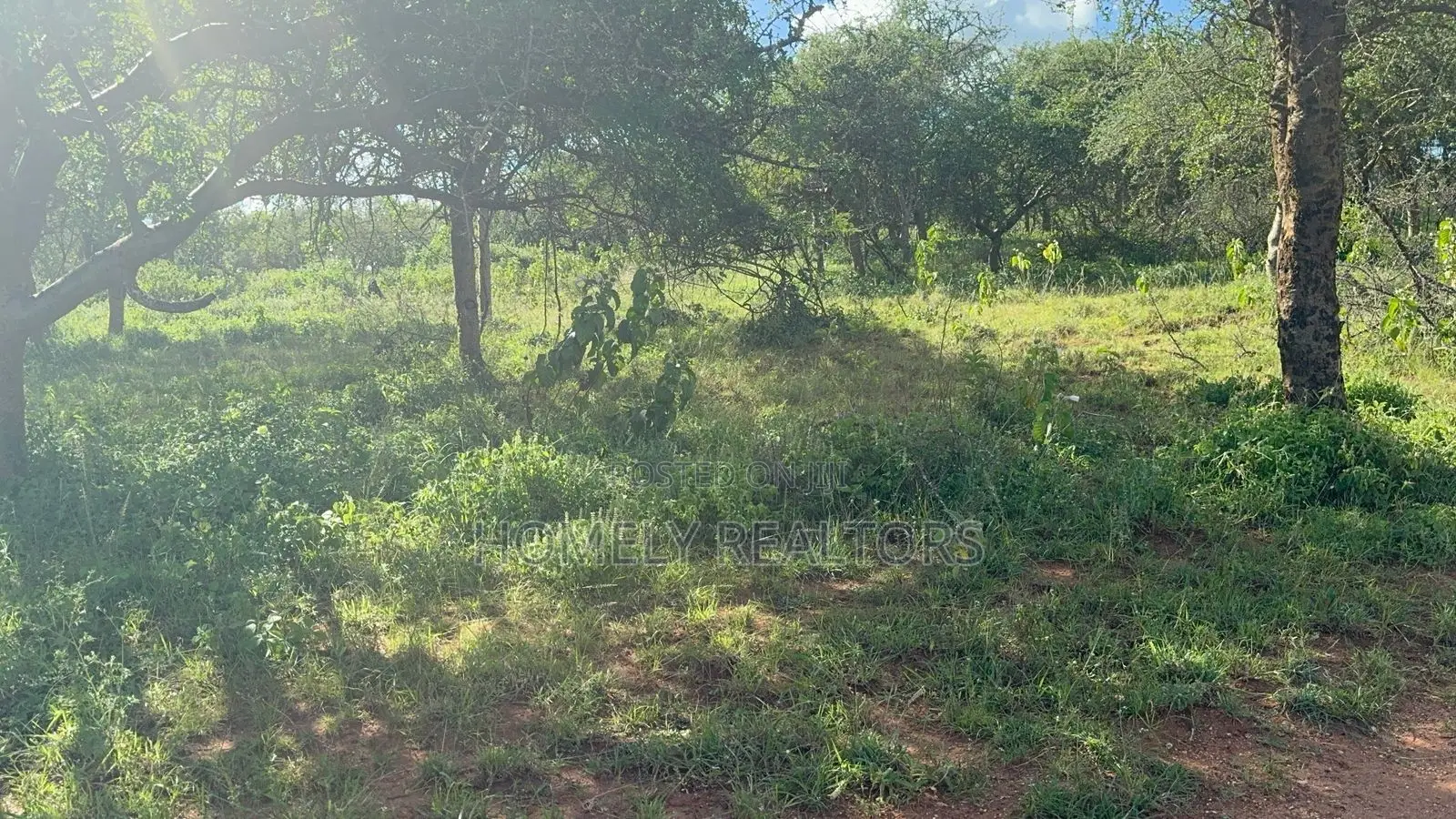30 Acres of Land in Kumpa Area, Kajiado, Ideal for Many Uses