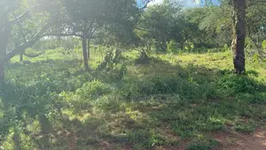 30 Acres of Land in Kumpa Area, Kajiado, Ideal for Many Uses