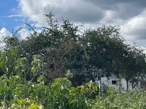 30 Acres of Land in Kumpa Area, Kajiado, Ideal for Many Uses