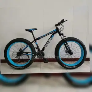 MTB Fat Tyre Bike