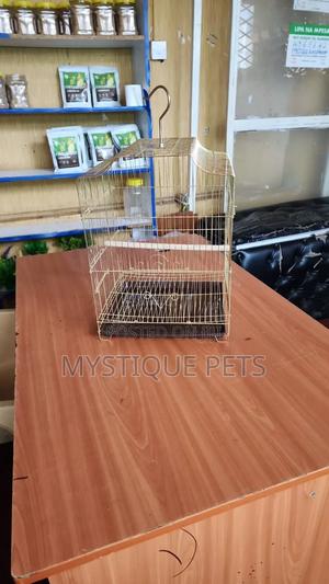 Gold Cages - thumbnail 2