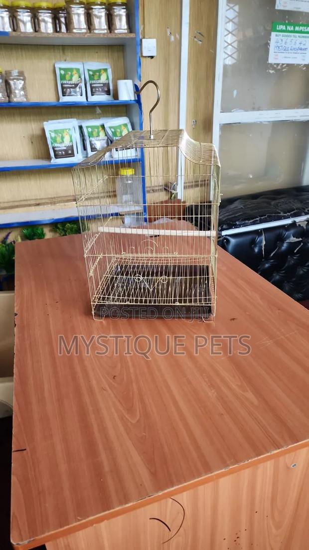 Gold Cages - main view