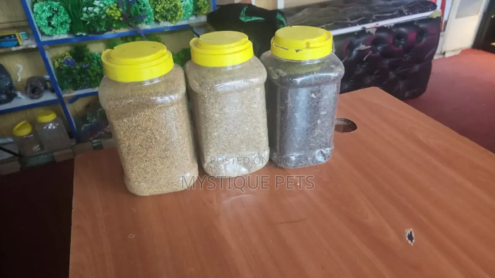 Bird Millets