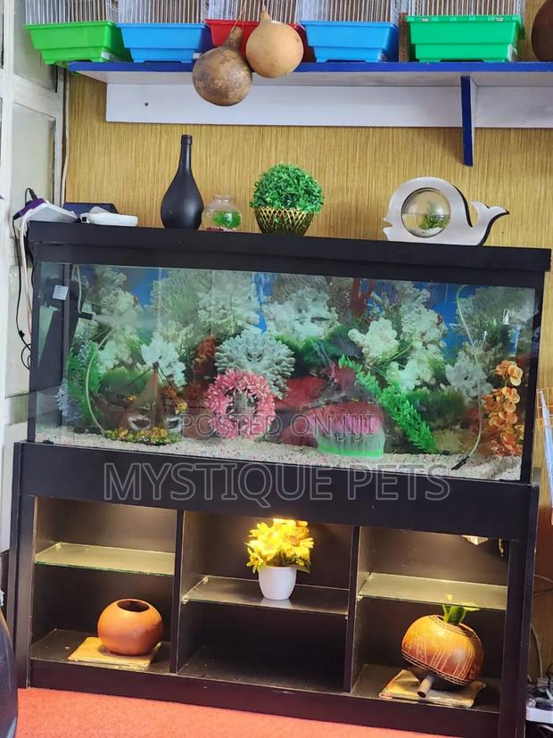 4ft Aquarium - main view