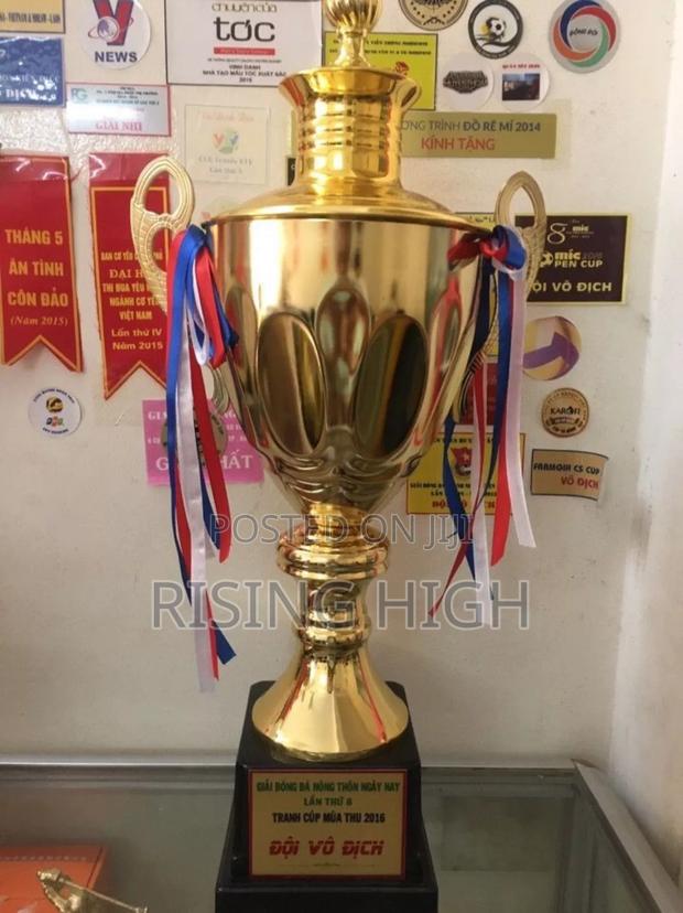 Best Quality Awarding Trophies