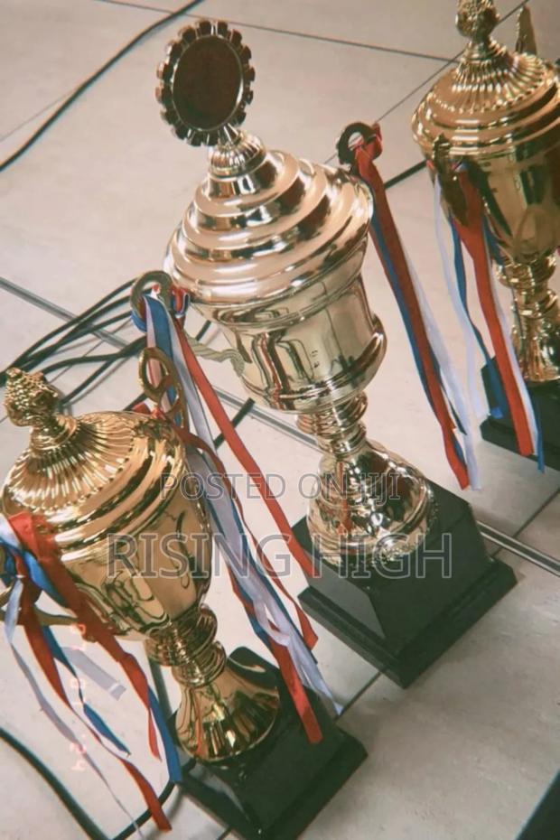 Custom Award Trophies