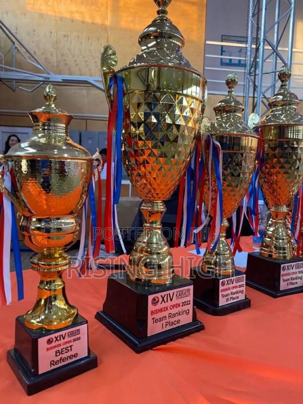 Celebrate Success With Our Trophies