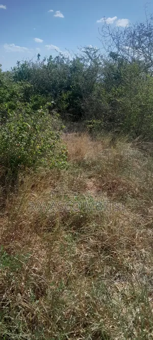 100 Acres Forsale in Adu Kamale