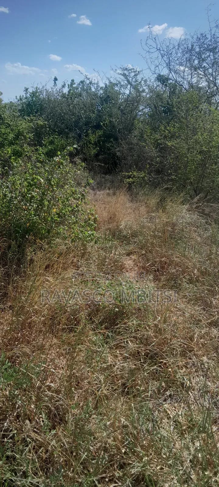 100 Acres Forsale in Adu Kamale