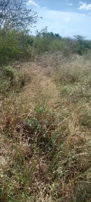 100 Acres Forsale in Adu Kamale