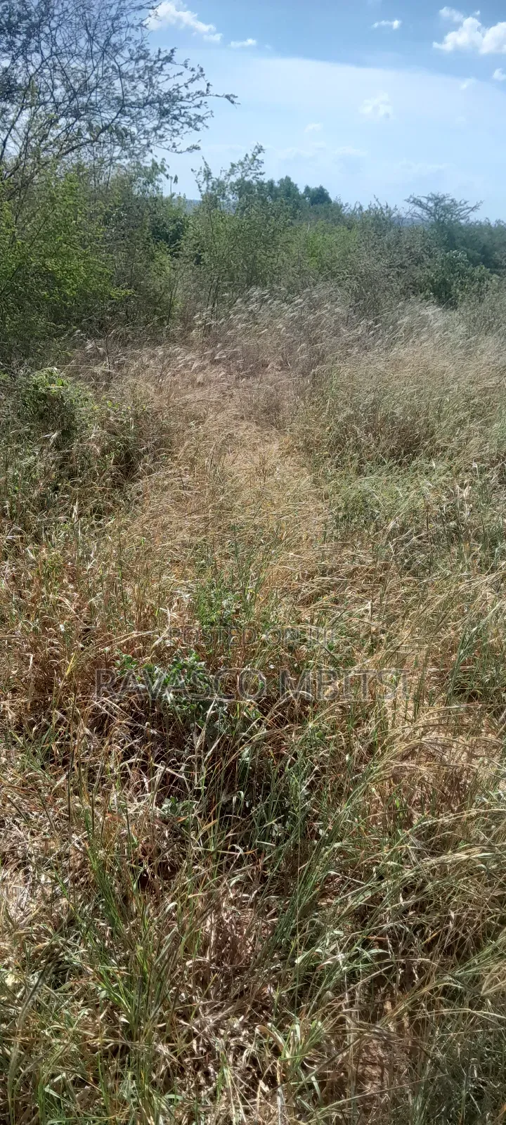 100 Acres Forsale in Adu Kamale