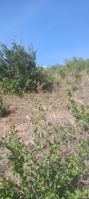 100 Acres Forsale in Adu Kamale