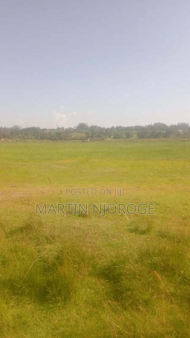 40 Acres Nyahururu - thumbnail 3