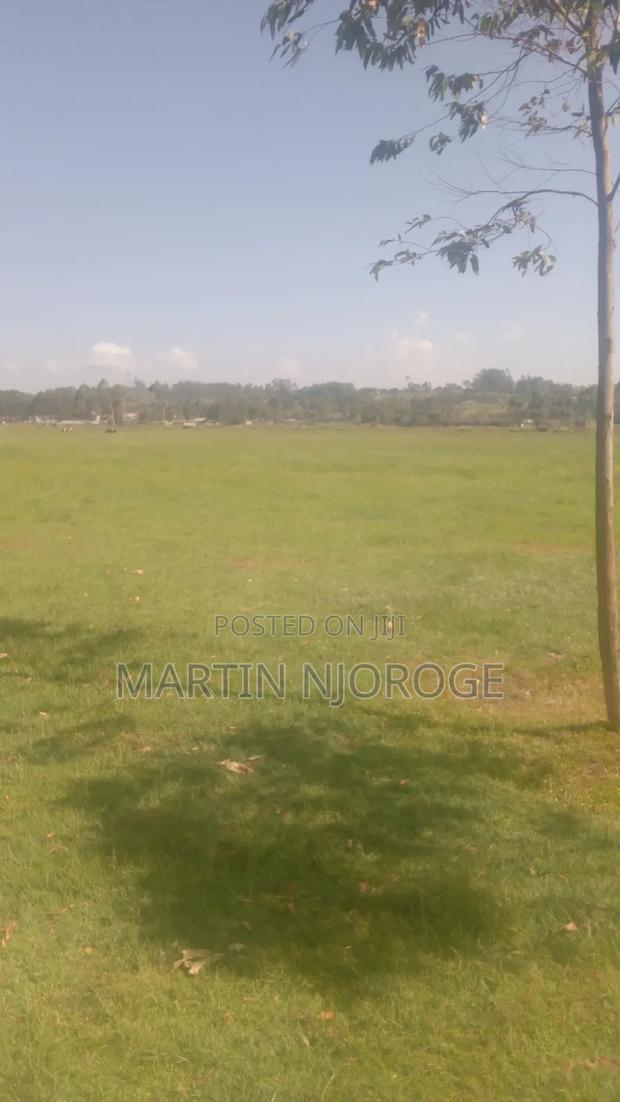 40 Acres Nyahururu - thumbnail 4