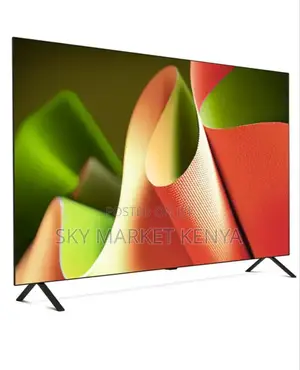 Lg 55′′ 55b46 Oled Smart Tv 2024