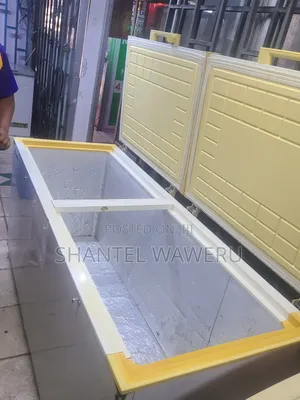 White Double Door Freezer