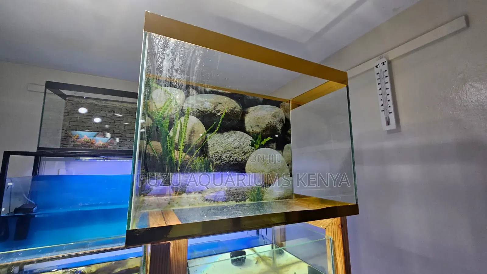 Golden Aquarium 60l Capacity Complete