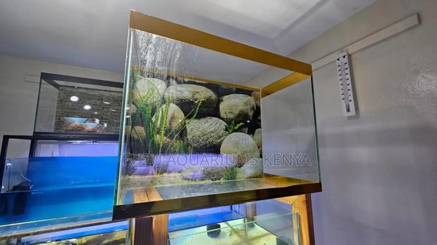 Golden Aquarium 60l Capacity Complete