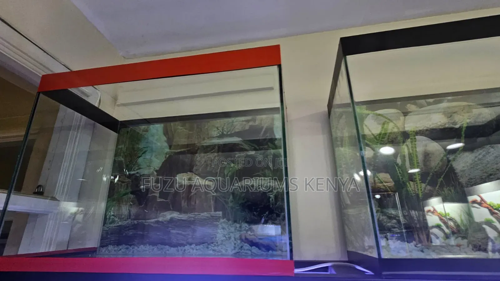 Beautiful New Aquarium With Everything Including Fish
