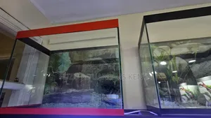 Beautiful New Aquarium With Everything Including Fish