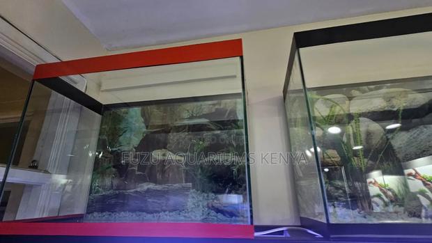 Beautiful New Aquarium With Everything Including Fish