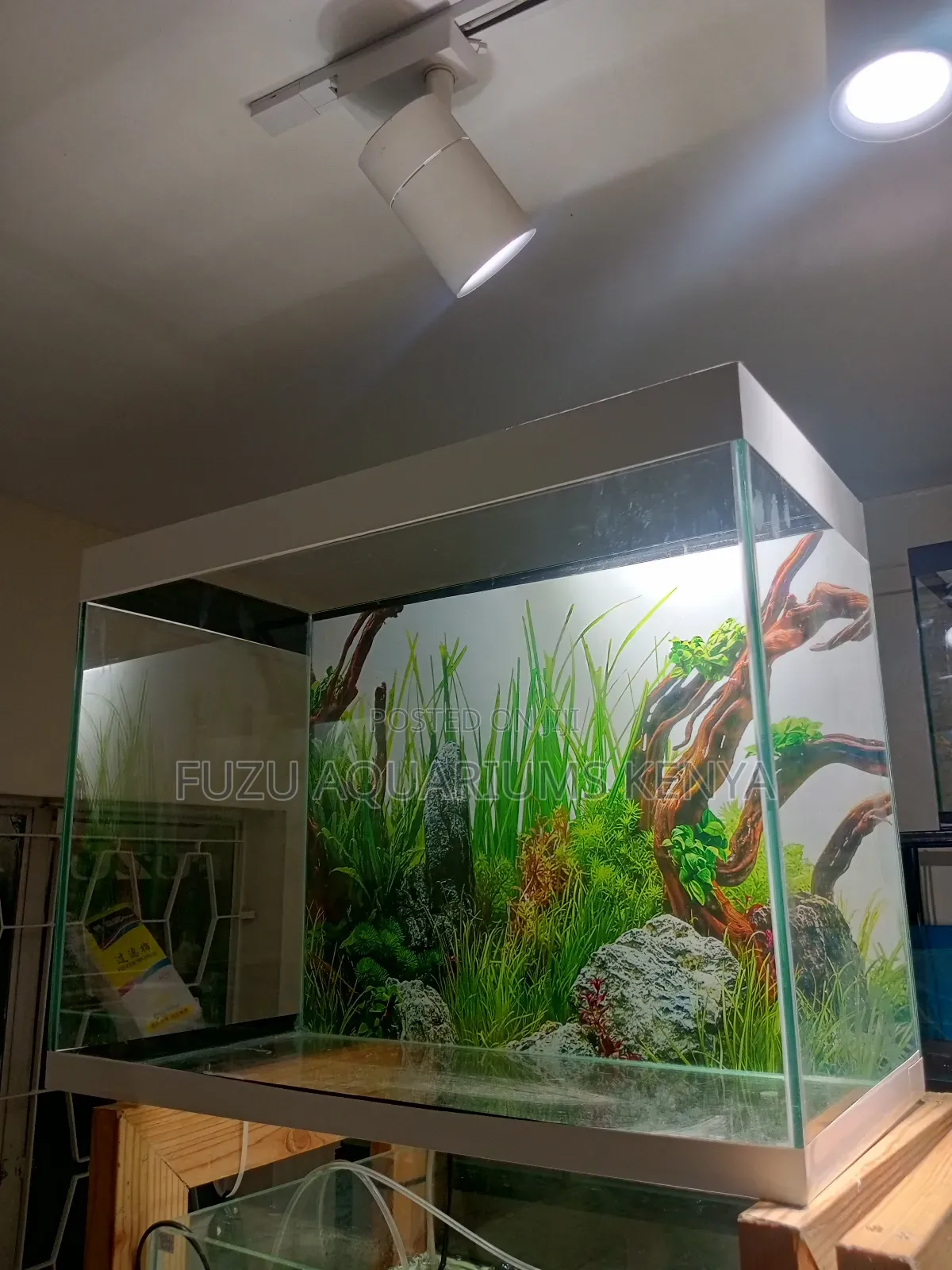 0.6meters Length Aquarium - Complete