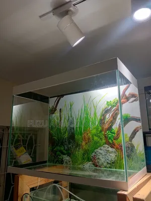 0.6meters Length Aquarium - Complete