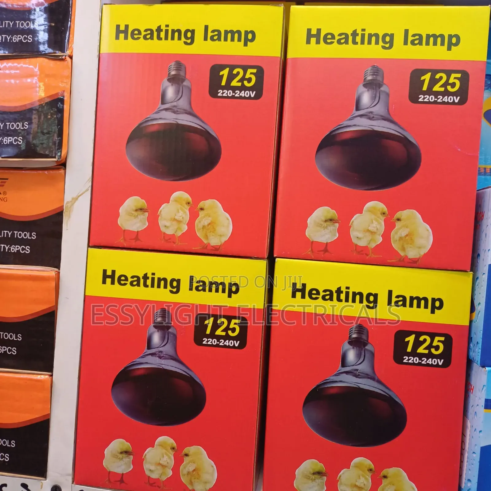Chicken Bulbs