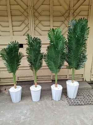 Trees Artificial Palm Instock