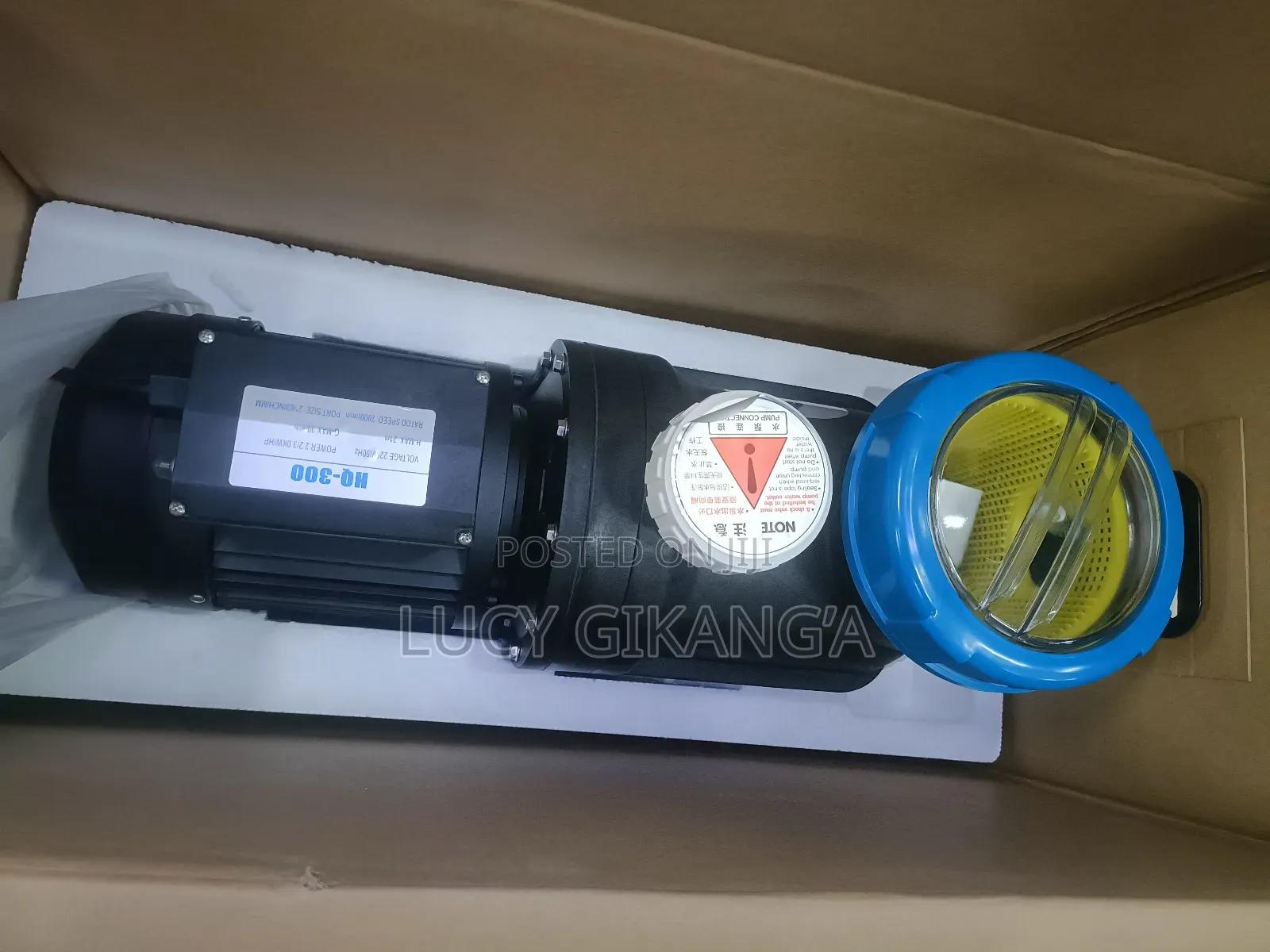 Quality Swimming Pool Pump