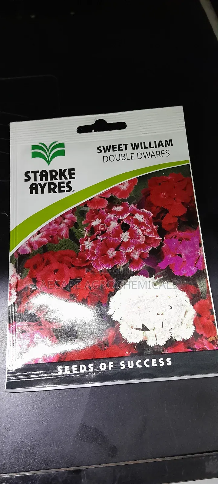 Sweet William Double Dwarfs Flowers (Starke Aryes) 0.8grams