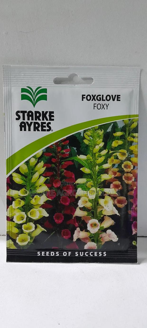 Foxglove Foxy Flower Seeds 0.7 Grams - main view