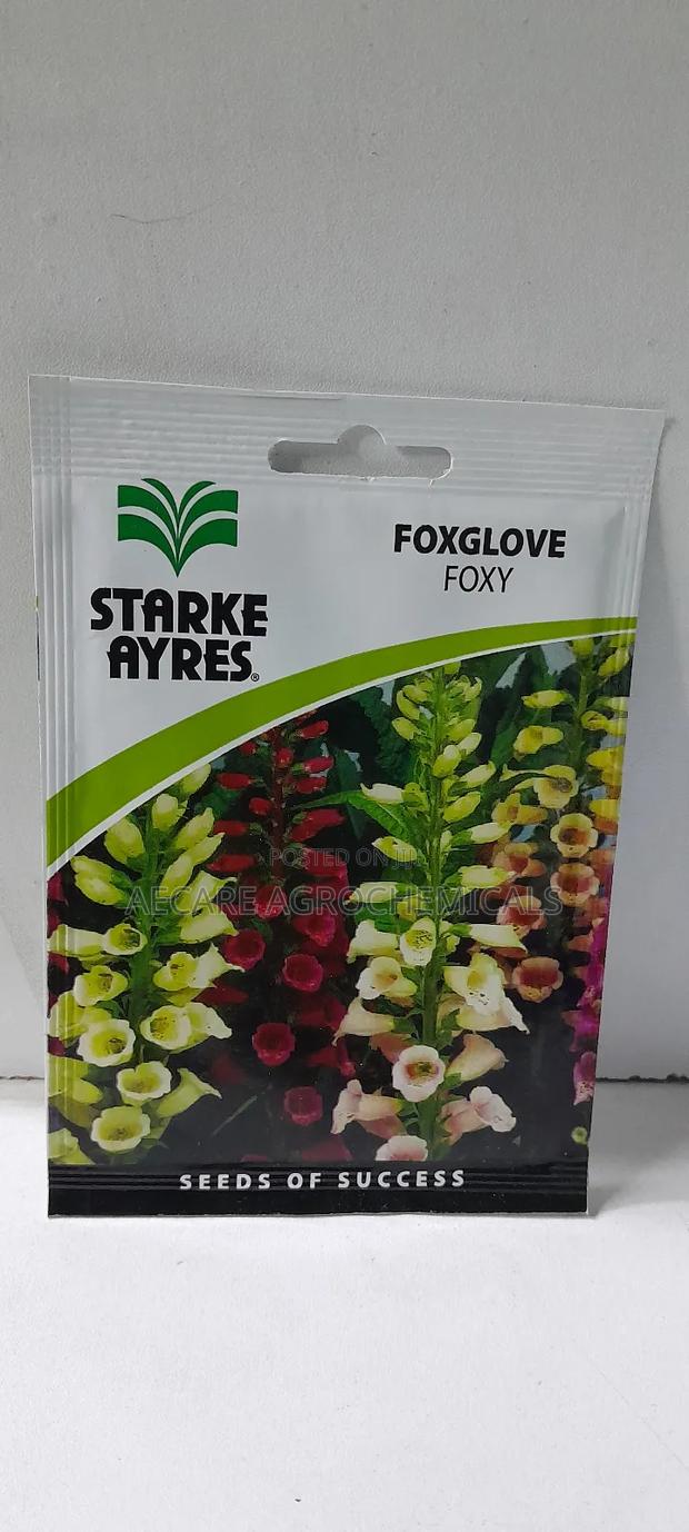 Foxglove Foxy Flower Seeds 0.7 Grams - thumbnail 3