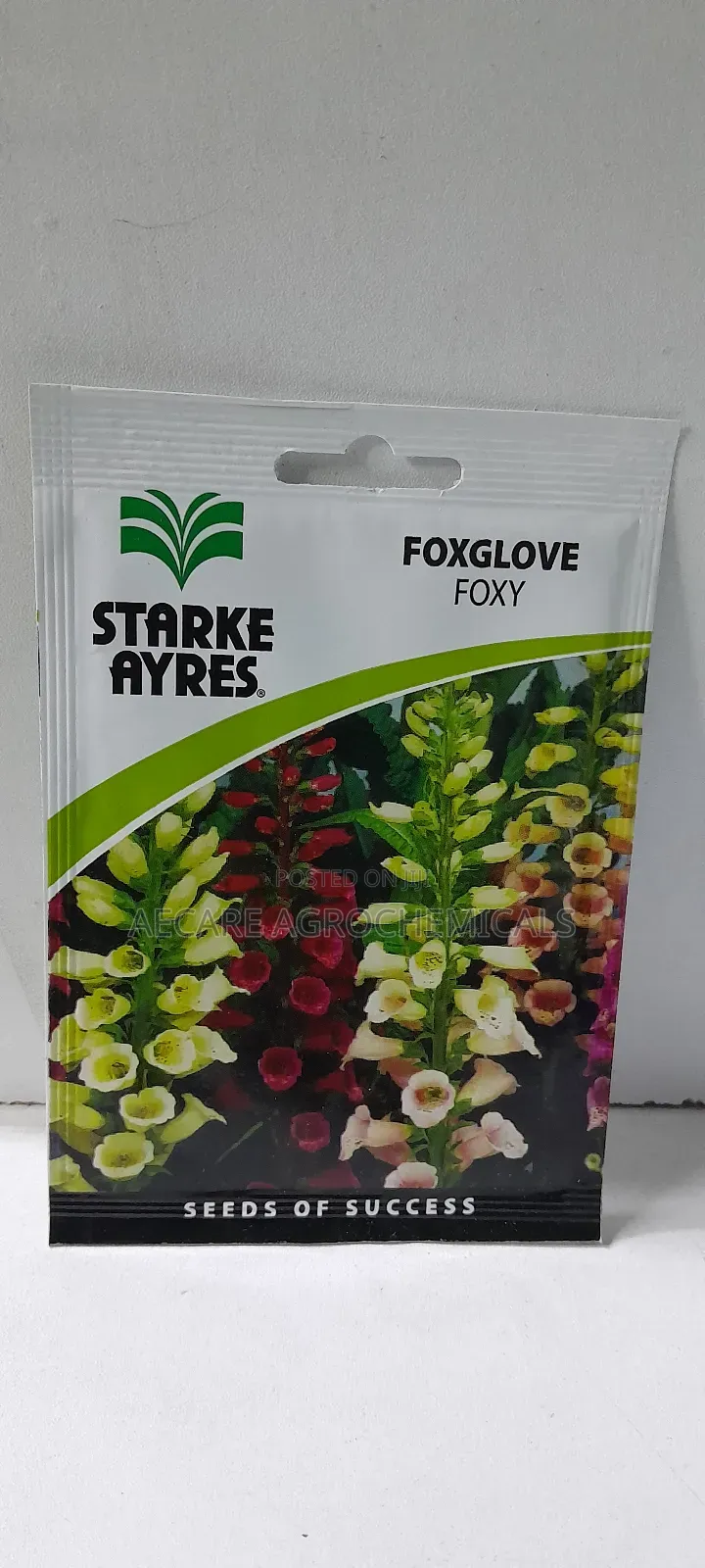 Foxglove Foxy Flower Seeds 0.7 Grams