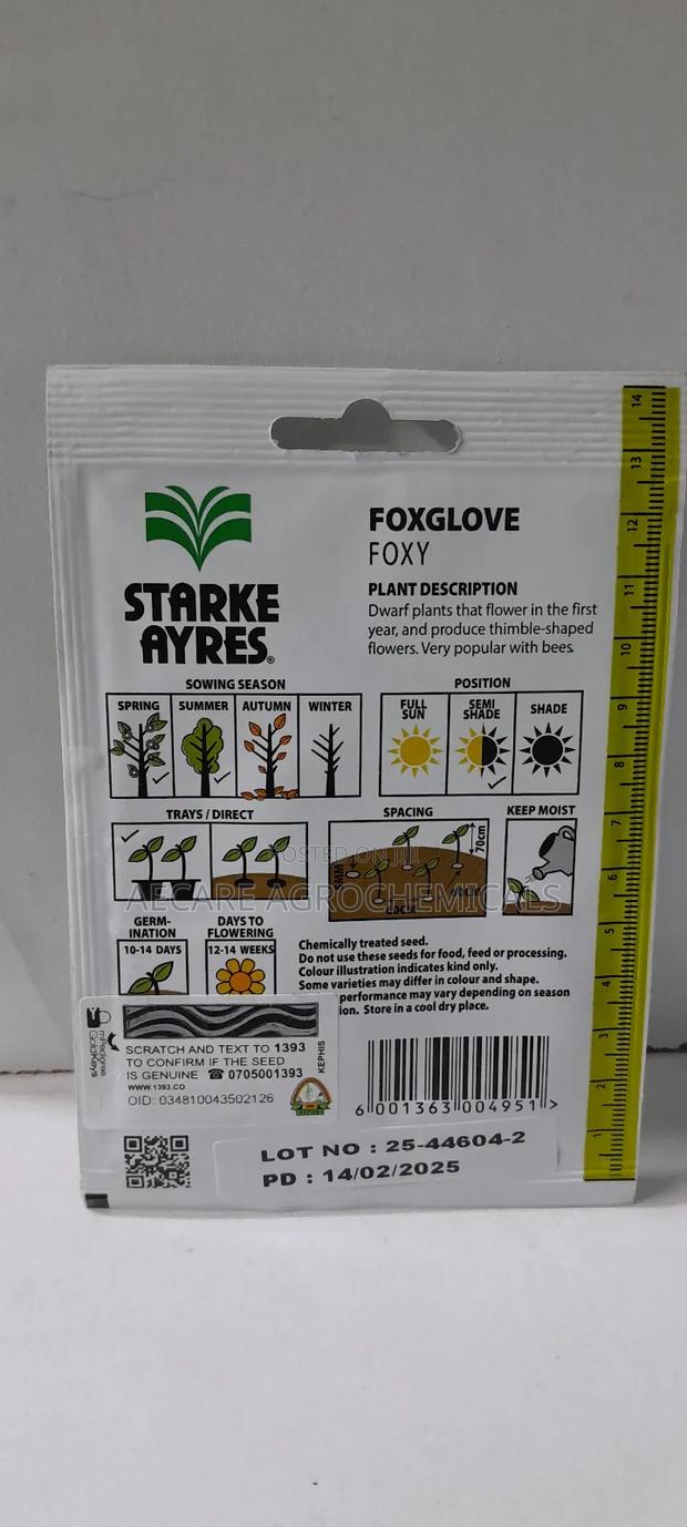 Foxglove Foxy Flower Seeds 0.7 Grams - thumbnail 4