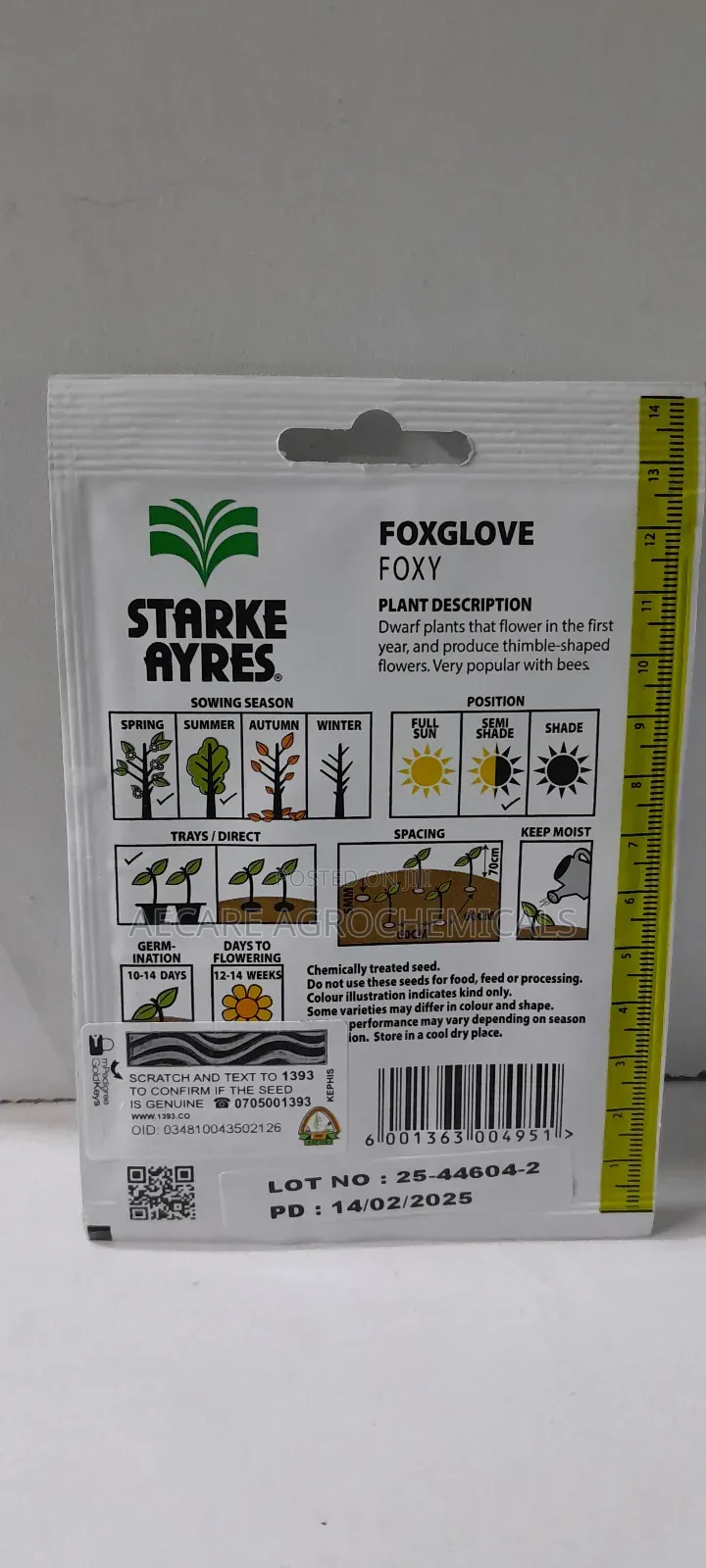 Foxglove Foxy Flower Seeds 0.7 Grams