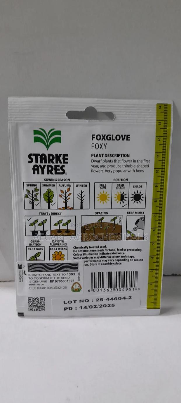 Foxglove Foxy Flower Seeds 0.7 Grams - thumbnail 5