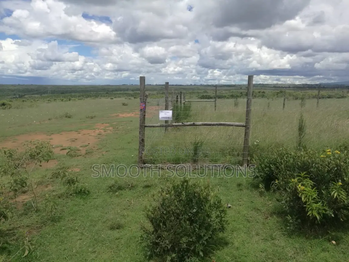 Land for Sale50x100 Land for Sale in Gwakungu (Mbuyu)