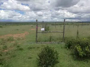 Land for Sale50x100 Land for Sale in Gwakungu (Mbuyu)