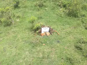 Land for Sale50x100 Land for Sale in Gwakungu (Mbuyu)