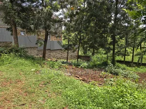 Plot for Sale in Runda