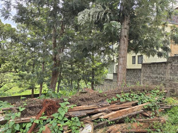 Plot for Sale in Runda - thumbnail 6