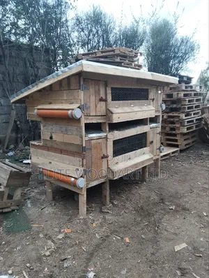 Chicken Coop