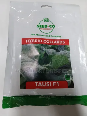 Tausi F1 Hybrid Collards 100g