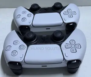 Well Used Ps5 Pad