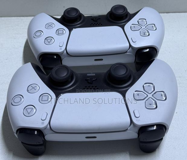 Well Used Ps5 Pad - main view