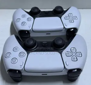 Well Used Ps5 Pad